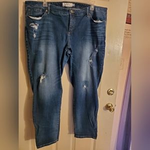 Torrid Skinny Fit Jeans